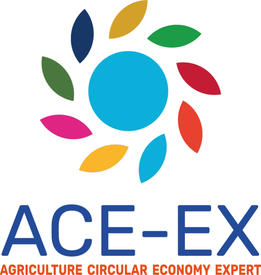 ACE-EX COURSE