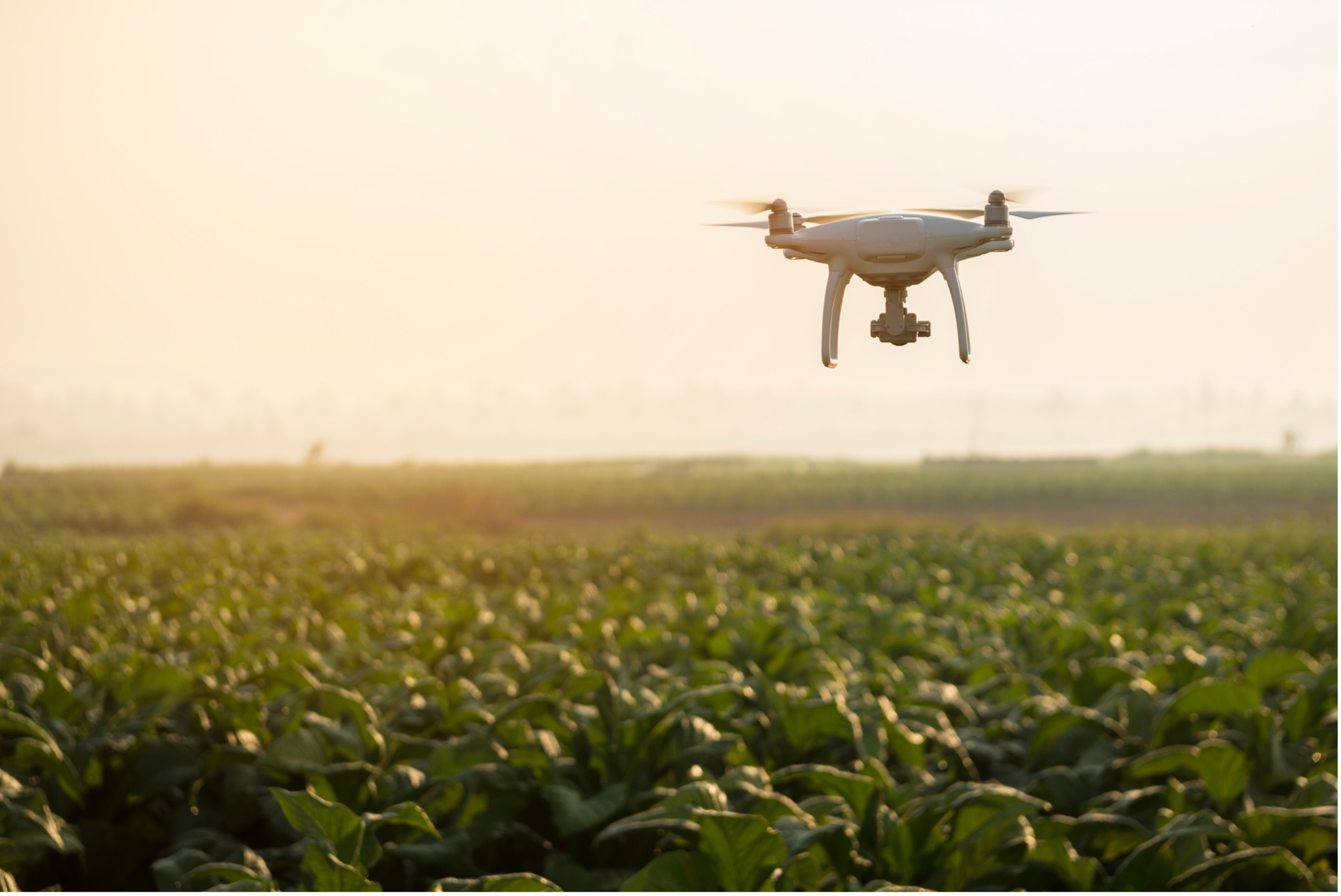 Technology and Resource Recovery in Agriculture